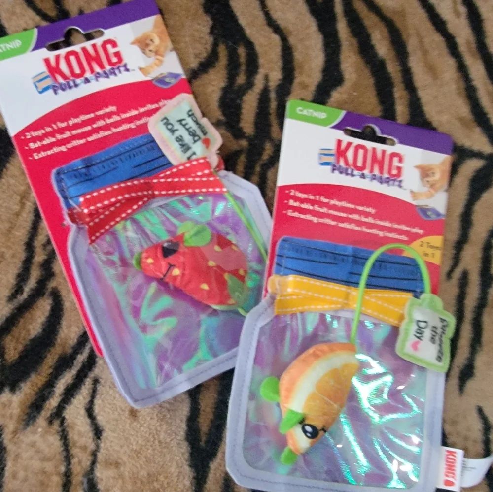 Kong cat kitten